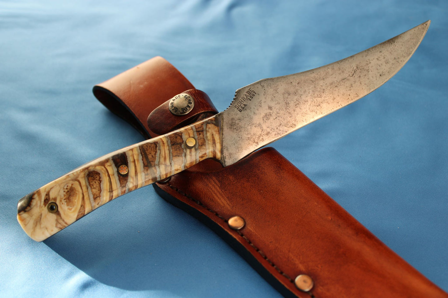 schrade deerslayer mammoth molar 150t knife